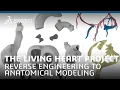 THE LIVING HEART PROJECT – REVERSE ENGINEERING TO ANATOMICAL MODELING