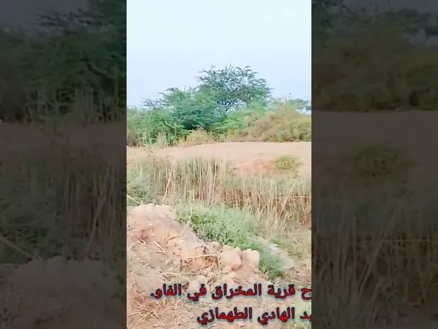 ⁣نزول آل خليفة وآل الصباح قرية المخراق في الفاو