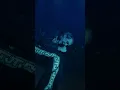 Download Lagu •Automatic (live) is ready for you now on YouTube. Chicago \u0026 Lollapalooza - see you out there