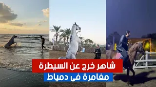 الحصان الفحل شاهر خرج عن السيطرة فى دمياط الجديدة ٦٠شو مع الدكتور حاتم ستين 