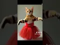 Download Lagu Kadoda-_Dança de Moçambique.(Video vizualizer)