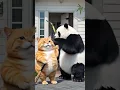 Download Lagu https://vt.tiktok.com/ZSASqVmqy/ #aigottalent 👁️‍🗨️😺😻👌🎉