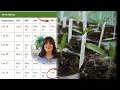 Frost Dates Explained WHEN to Plant and Indoors vs Direct Sow