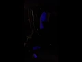 Fools - The Dodos