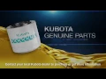 Kubota Engine Spare Parts