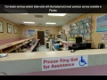 Auto tag Agency Miami Tag Registration