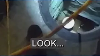 Say cheese Officers use snack to rescue dog trapped in drain