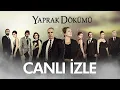 Download Lagu Yaprak Dökümü Canlı Yayın