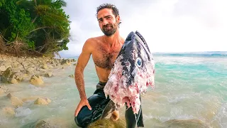 SHARKS ATE MY FISH! (Spearfishing A Remote Tropical Island)