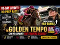 The 83-Day Risk Can Golden Tempo Win The Travers Stakes