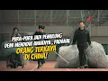 Download Lagu BAPAKNYA PURA-PURA MISKIN PADAHAL DUITNYA BISA BUAT BELI SATU NEGARA !!