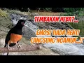 Download Lagu Tembakan hebat, rapat, langsung bikin emosi dan ngamuk