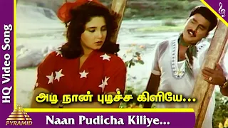 naan pudicha kiliye video song rasukutty tamil movie songs k bhagyaraj aishwarya ilayaraja