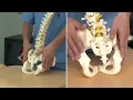 Dolor lumbar bajo o dolor de cintura o espalda baja - ¿Qué puede ser? #lumbalgia