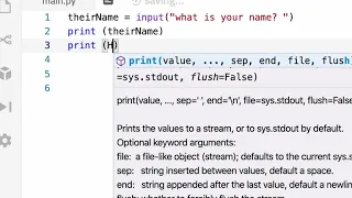 basic python user input and string format