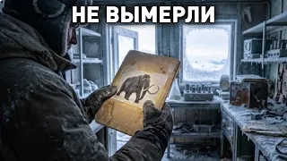 Находка замёрзшего шерстистого мамонта в Антарктиде может повлиять на всех нас