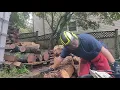Stihl 034 Super Rebuild First Start Up