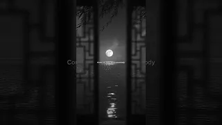 Serena Safari Come On Boy Move That Body Aesthetic Song Lyrics Youtubeshorts Music 