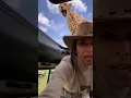 Download Lagu Unbelievable 🐯 #wildlife #nature #cheetah #loin #africa #africawildlife #travel #wildanimals