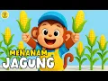 Lagu Lagu Anak Anak - Menanam Jagung di Kebun Kita - Lagu Anak \u0026 Balita Terbaru Sangat Viral Terpopuler
