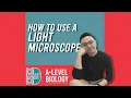 A-Level Biology - Light microscope some basic guidelines