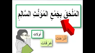 الملحق بجمع المؤنث السالم 