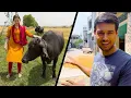Download Lagu This is my Village in Haryana!