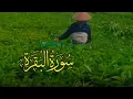 Download Lagu Tilawah Sangat Merdu : Membuka Kembali Memori Masa Lalu : KH. Muammar Za Muda
