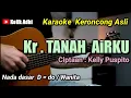Download Lagu TANAH AIRKU - KARAOKE KERONCONG ASLI NADA WANITA