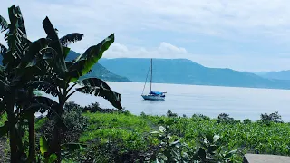 Live Chat with the Catalpa Crew