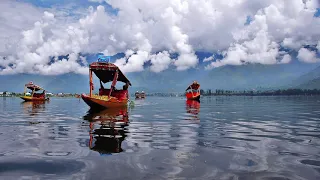 vesiye tim doh bihari kak 