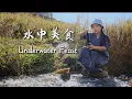 Lagu Underwater Feast Compilation: Fish, Shrimp, Crabs \u0026 Shellfish — Pure, Fresh, and Simple【滇西小哥】