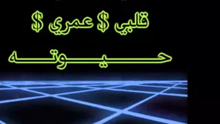 حبيب عمري تامر عاشور البيت الكبير دندنها