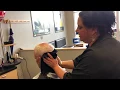 Supercuts - North Fort Myers