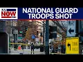 TOP STORIES: National Guard DC shooting, Holiday travel, Thanksgiving preparations, more