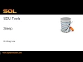 SDU Tools 60 Sleep in T-SQL for SQL Server