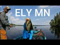 Incredible Fishing Ely Minnesota