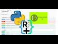 How to enable swagger in python flask API along with optional query parameters