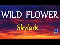 Download Lagu WILD FLOWER -  SKYLARK lyrics (HD)