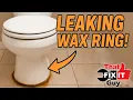 Leaking Toilet How to Replace a Wax Ring Like a Pro Step-by-Step Fix