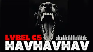 lvbel c5 havlarlar onlar arkadan havhavhav tik tok trend 2025