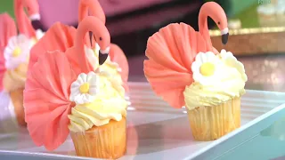 إعلان سفرة سالي بانوراما فود 