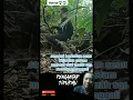 Download Lagu MISTERI HUTAN LARANGAN #penampakan #horrorstories #hantu #sceror #misteri