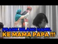 Download Lagu PRANK BILANG HAMIL KE MAMA \u0026 PAPA, COWOKNYA GAK TAU SIAPA
