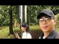 Download Lagu Jalan Sore di Kebun Raya Bogor