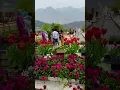 Download Lagu tujhe dekhne ko tarsti he aakhe @tulul garden@evening time#vilal