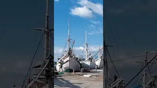 WORLD’S LARGEST FLEET OF WOODEN SHIPS