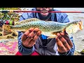 Fishing Ballast Point Pier For Speckled Trout