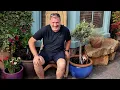 I Bet You Garden Like THIS