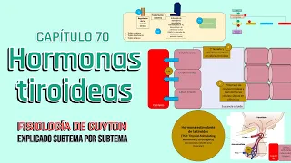 CAP 77: Hormonas metabólicas tiroideas l Fisiología de Guyton